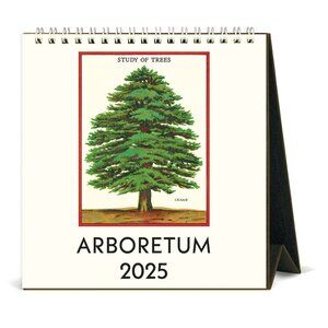 Cavallini & Co. Arboretum 2025 Easel Desk Calendar, 6.5"x6.5"